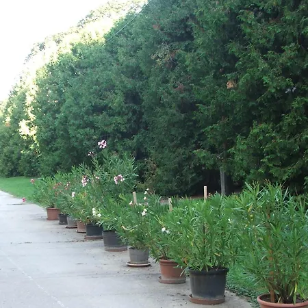 Апартаменты Alomvoelgy