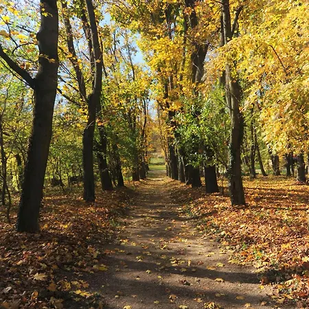 Апартаменты Alomvoelgy *