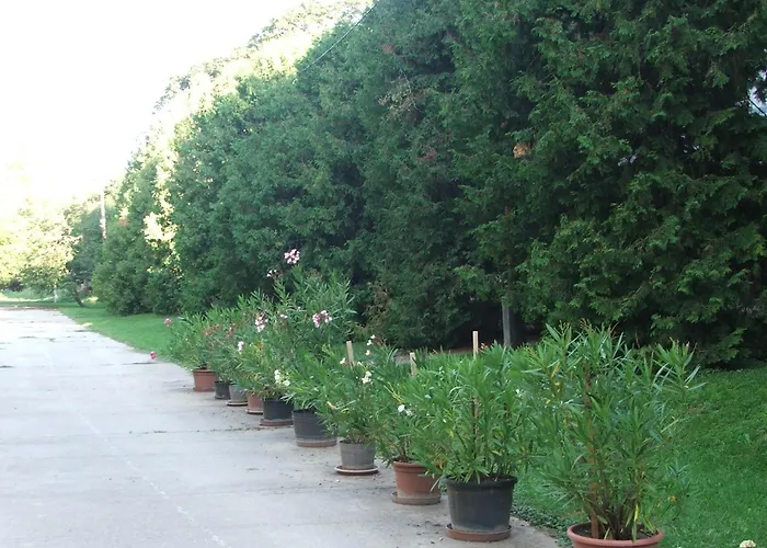 Apartment Alomvoelgy