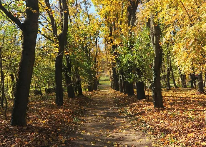 Apartment Alomvoelgy *